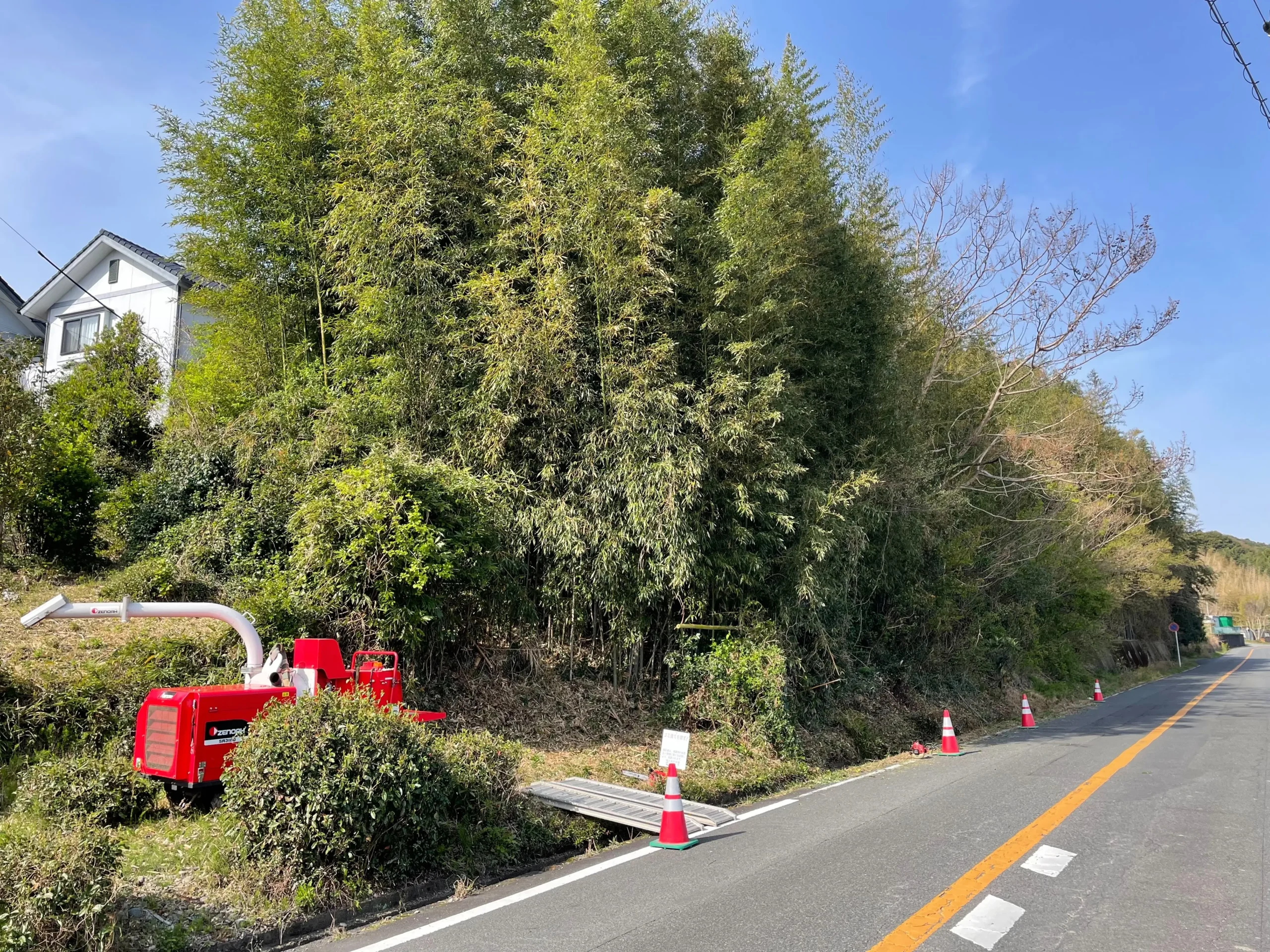 岡崎市で道路に倒れ込む竹林を特殊伐採｜有限会社名豊テラプリモの施工事例 - Before