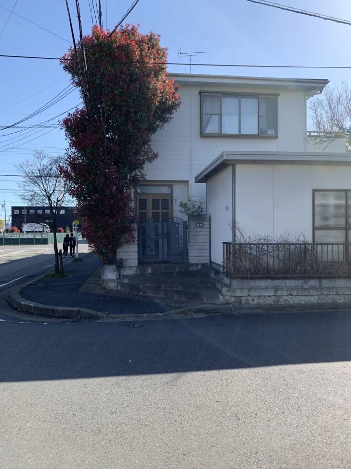 豊田市で電線にかかったカナメモチを安全に伐採｜住宅密集地での高木伐採事例 - Before
