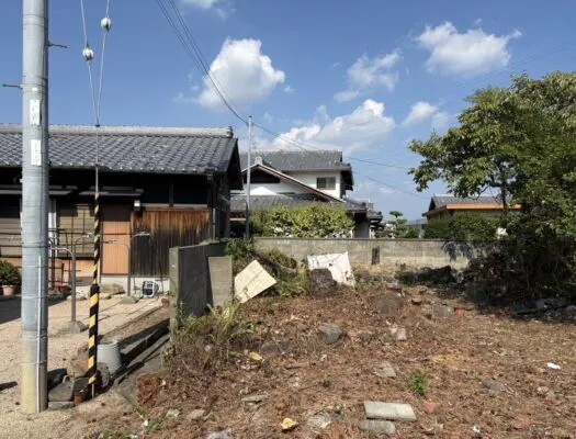 豊田市で高さ10mの松を伐採｜電線に近い樹木を高所作業車で安全に撤去 - After