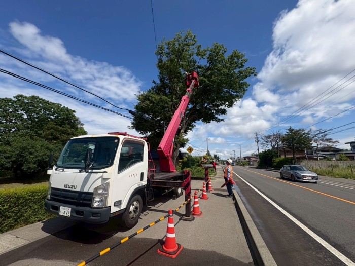 豊田市で特殊伐採｜歩道や車道にはみ出した高さ約10mの大木を高所作業車で伐採 - Before